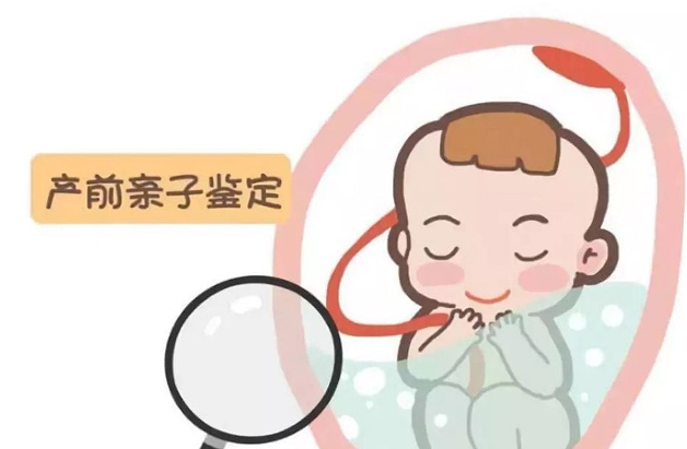 泰州妊娠期间怎么做胎儿亲子鉴定,在泰州做无创胎儿亲子鉴定价钱